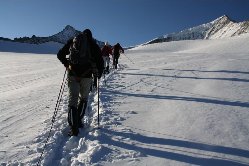 Aangelijnd-in-het-spoor-van-de-gids