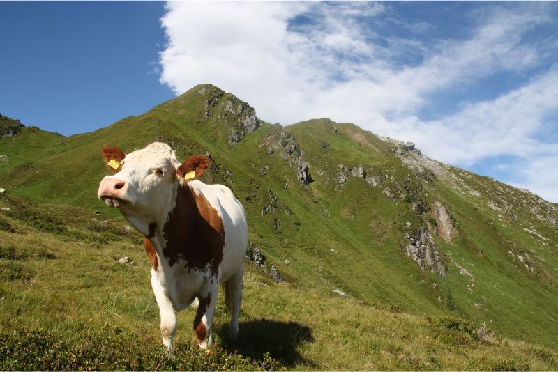 Goedemorgen-jongedame