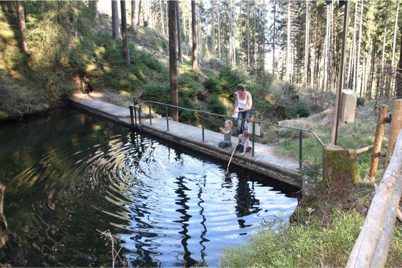 Stuwbekken-bij-wandeling-achter-het-huis